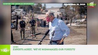 Experts agree, ‘we’ve mismanaged our forests’