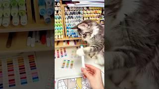 Kuki Puff | Purr Moments Coloring Book #coloringbook #art