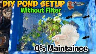 DIY Pond setup   0% maintenance without Filter and oxygen  ‎@Fishlover.io1478 