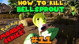 RaZzi's Monday Series - How to kill BELLSPROUT? #11