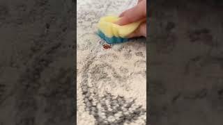 Scrub Daddy PowErase Gel Multi-Fabric Stain Remover Гел за почистване на различни видове петна