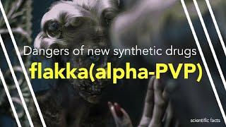 Dangers of new synthetic drug Flakka, (alpha-PVP)