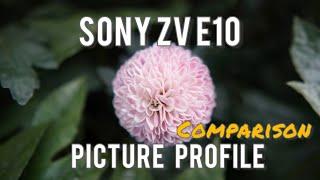 Sony ZV E10 Picture Profiles Comparison (with Sample Images and Footages)