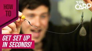 Make a simple carp set up with Gemini!