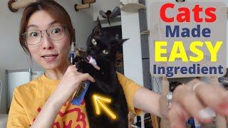 Inaba Churu Cat Treats: The Review Nobody Asked Us to Do (But We Did Anyway)