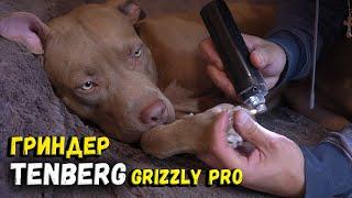 ГРИНДЕР ДЛЯ КРУПНЫХ СОБАК TENBERG GRIZZLY PRO. Обзор, Реакция Собак и Мои Впечатления