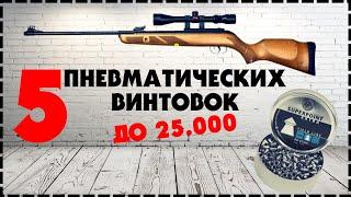 Топ 5 Пневматических Винтовок До 25000