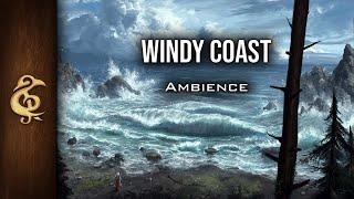 Windy Coast | Sea, Waves Crashing, Seagulls, Nature Ambience | 1 Hour #dnd