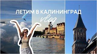 ЛЕТИМ В КАЛИНИНГРАД | VLOG | первые 2 дня путешествия