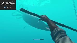 Official WORLD RECORD | Boss Fight - Stranded Deep