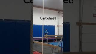 Cartwheel! #viral #trending #funny #gym #gymnast #gymnastics #flex #flexibility #flexible #cartwheel