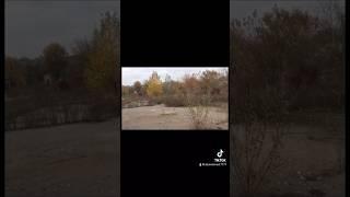 6 мая 2024 г.