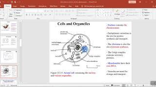 DNA and Evolution of the Species