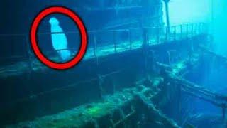 What They Discovered in Titanic Shocked the Whole World