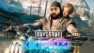 Откуда столько зомби?!  Days Gone (Жизнь после)