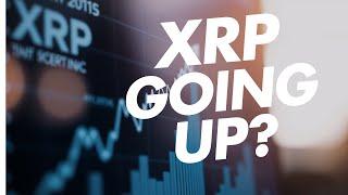 XRP Set to Pump in January 2025?  Everything You Need to Know!