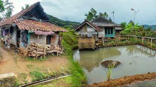 BETAH BANGET !! SUASANA SORE HARI INI DI PERKAMPUNGAN DI PEGUNUNGAN PELOSOK TASIKMALAYA