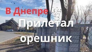 Прилетел орешник в Днепр  Света нет но вы держитесь  Небольшая прогулка по Днепру 