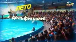 Лето в Киевском дельфинарии "Немо" 2014