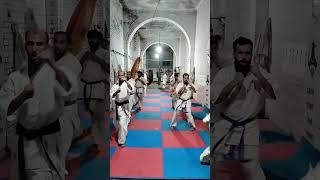 Kyokushin Kan karate back kick training