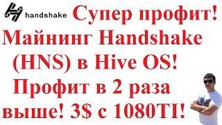 Супер профит! Майнинг Handshake (HNS) в Hive OS! Профит в 2 раза выше! 3$ c 1080TI!