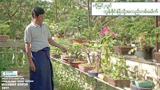 ကိုမြင့်လွင်ရဲ့ဘွန်ဇိုင်းခြံလေးသို့ အလည်တစ်ခေါက်