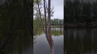 #uzbekistan #asaka #fishing