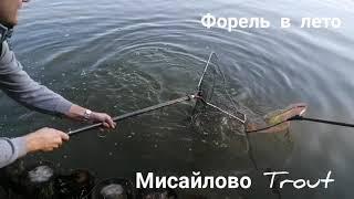 Мисайлово Trout. Платная рыбалка