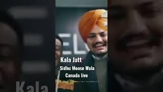 Sidhu Moose Wala Kala Jatt #sidhumoosewala #sidhumossewala #sandhu131