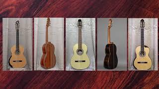 Babichewguitar's gallery