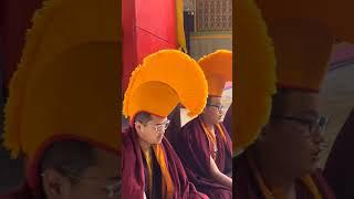 MINDROLLING MONSTERY. #buddha #buddhism #buddhist #buddhateachings #buddhistphilosophy