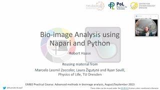 Bio-image Analysis using Napari and Python