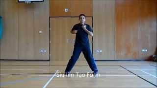 L. Kastrounis  Wing Chun : Siu -Lim Tao ,Chum Kiu