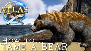 How to Tame a Bear in ATLAS - Quick & Easy!