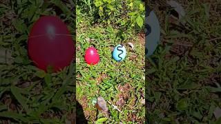 squid game and eggs in the garden #squidgame2 #eggs #egg