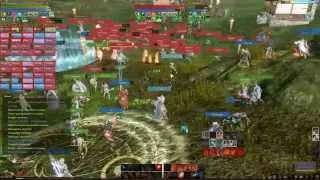 18.05.2014 Paradise West VS Delicate Bastards (Arch Age)