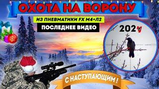 Предновогодняя Охота на Ворону с Пневматикой.№16. Crow Hunting 2024. Кроухантинг. Jack Hunter.