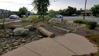 Heritage Park Native Plant Demonstration Garden in Thousand Oaks