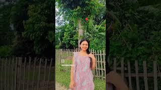 ️#viralvideo #love #subscribe #nayani #dailyvlog #highlights #zubeengarg #followforfollowback #vlog