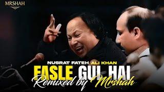 FASLE GUL HAI | REMIX | NUSRAT FATEH ALI KHAN | SLOWED REVERB |