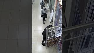 Footage of jewellery store robbery