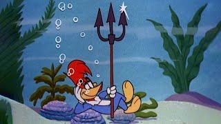 Woody's Adventure on the High Seas | 2.5 Hours of Classic Episodes of Woody Woodpecker