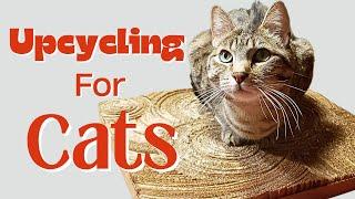 3 DIY Upcycled Projects For Your Cats