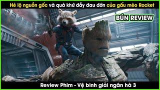 Nguồn gốc và quá khứ đau đớn của gấu mèo Rocket - REVIEW PHIM: VỆ BINH GIẢI NGÂN HÀ 3 || BÚN REVIEW