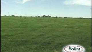 Davidson Farming - Macho Bermuda Grass