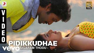 Sigaram Thodu - Pidikkudhae Video | Vikram Prabhu | D. Imman