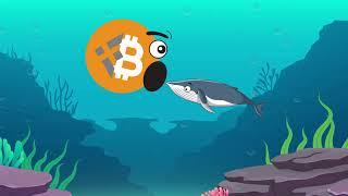 BNBTC 21M - Bnbitcoin eating the whales, NO whales allowed!