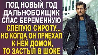 Под Новый Год дальнобойщик спас беременную, слепую сироту. Но когда он приехал к ней домой...