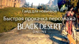 Гайд для новичков по прокачке и развитию персонажа БДО (BDO) | Black Desert Online