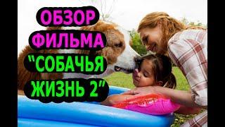 Обзор фильма "Собачья жизнь 2".лучший фильм.